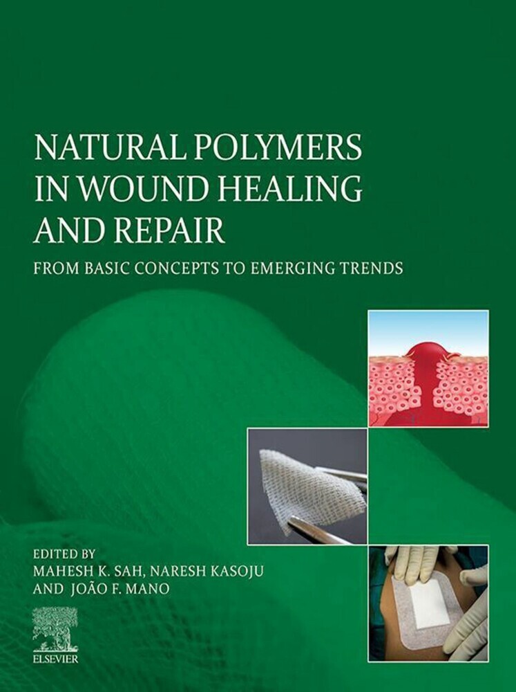 Natural Polymers in Wound Healing and Repair main product photo