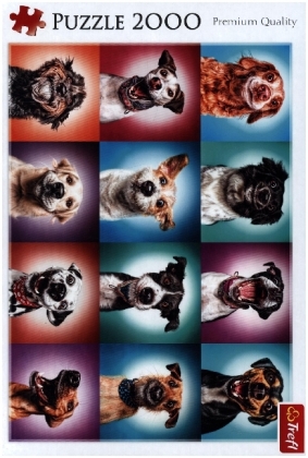 Lustige Hunde Porträts (Puzzle)