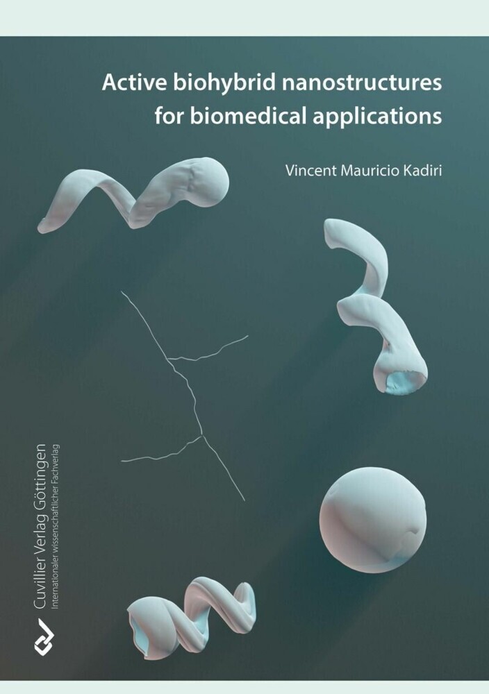 Active Biohybrid Nanostructures For Biomedical Applications main product photo