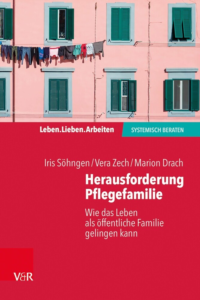 Herausforderung Pflegefamilie main product photo
