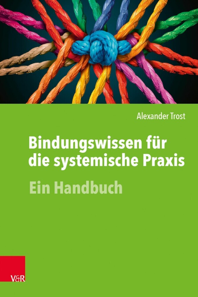Bindungswissen für die systemische Praxis main product photo