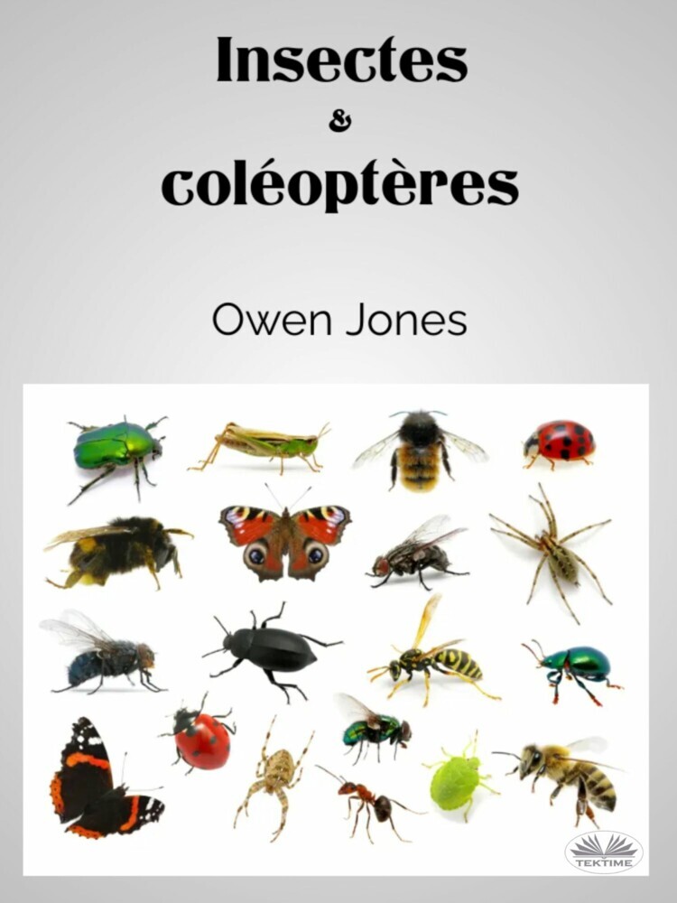 Insectes Et Coléoptères main product photo