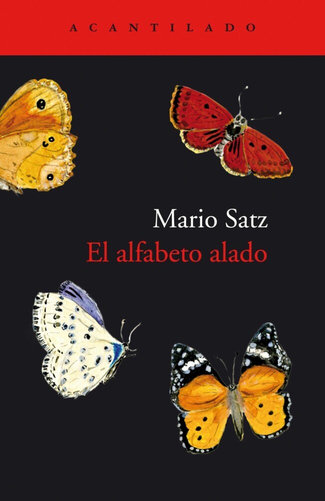El alfabeto alado main product photo