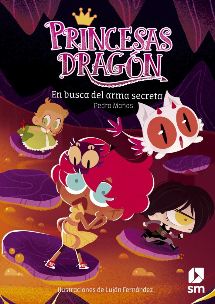 Princesas Dragón 13: En busca del arma secreta main product photo
