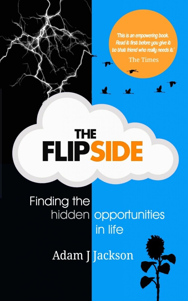 The Flipside main product photo