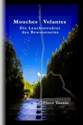 Mouches Volantes