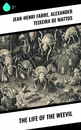 The Life of the Weevil