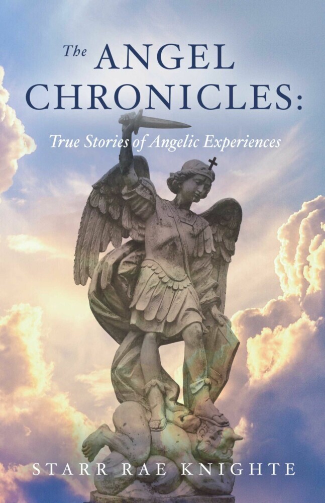 The Angel Chronicles main product photo