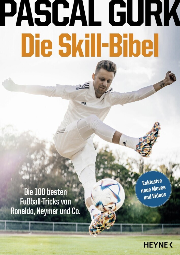 Die Skill-Bibel main product photo