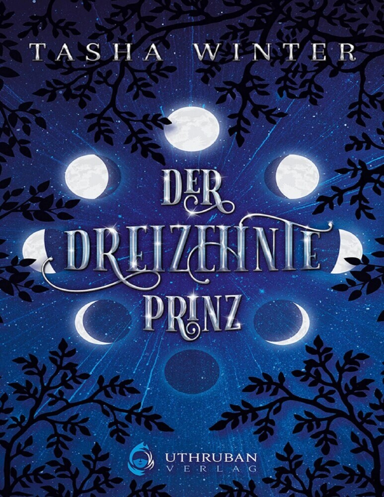 Der Dreizehnte Prinz main product photo