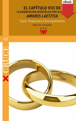 El capítulo VIII de la Exhortación apostólica pos-sinodal 'Amoris laetitia'