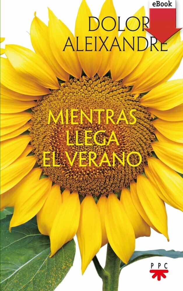 Mientras llega el verano main product photo