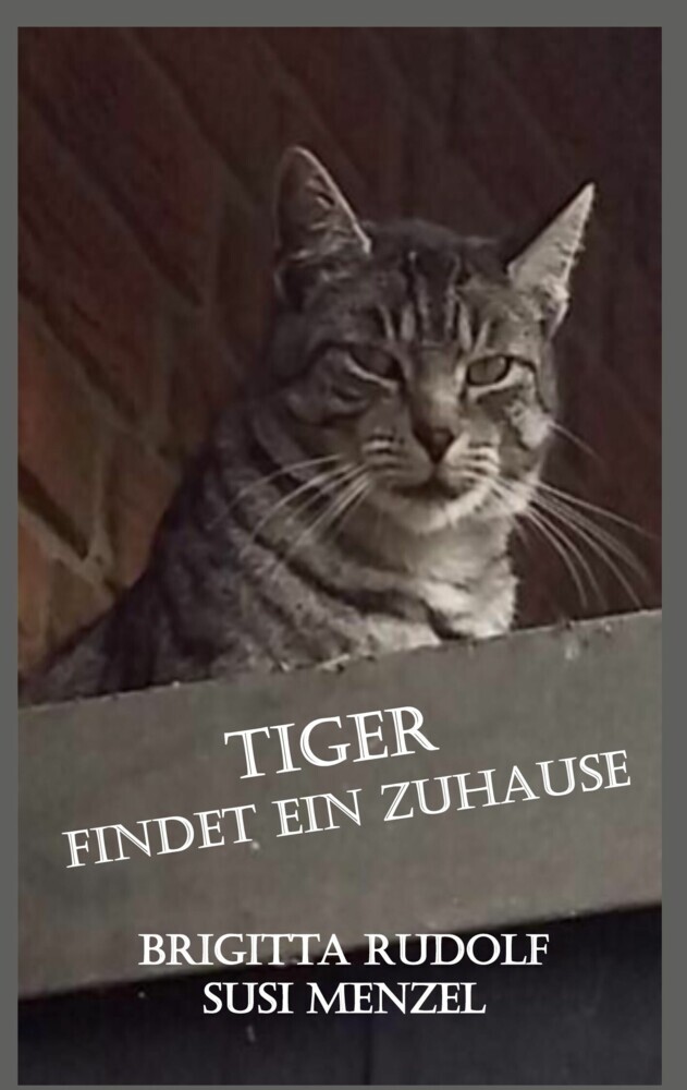 Tiger findet ein Zuhause main product photo
