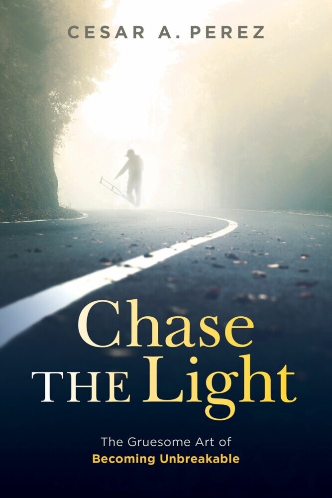 Chase the Light main product photo