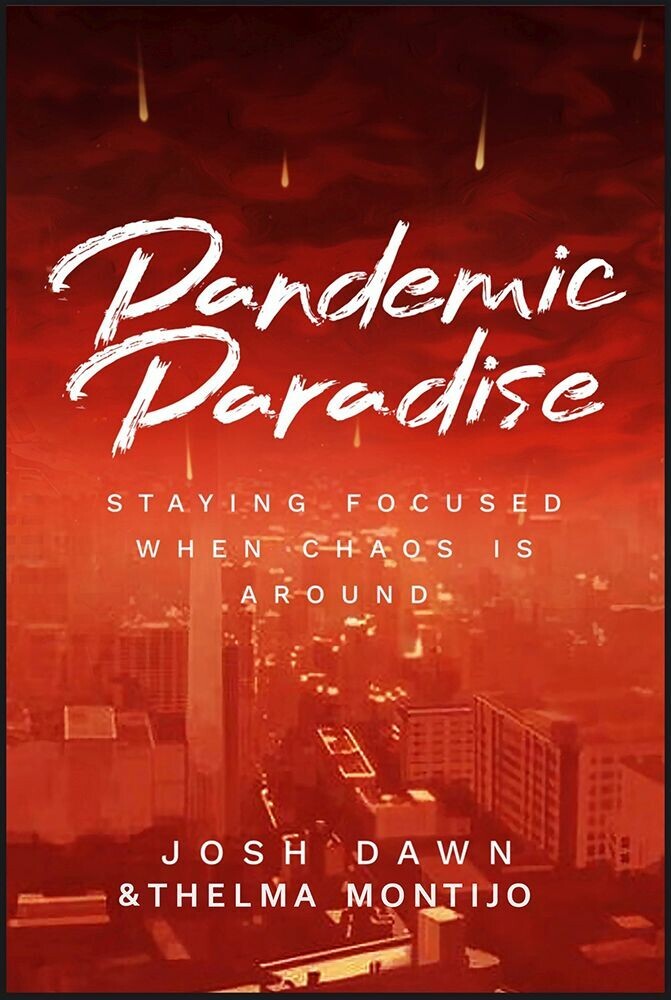 Pandemic Paradise main product photo