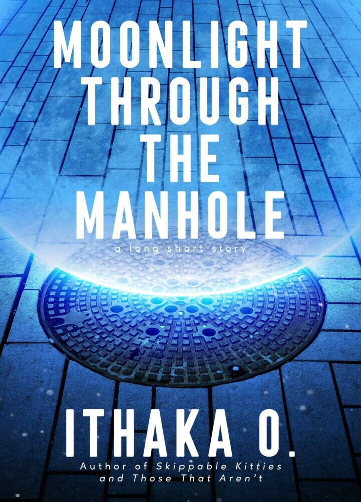 Moonlight Through the Manhole main product photo