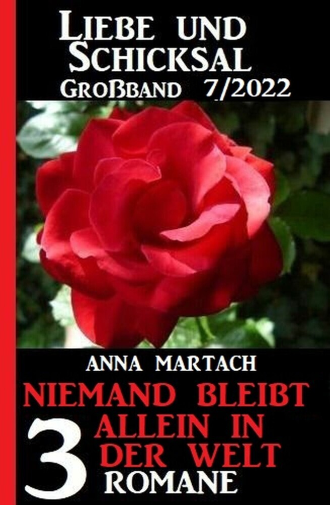 Niemand bleibt allein auf der Welt: Liebe & Schicksal Großband 3 Romane 7/2022 main product photo