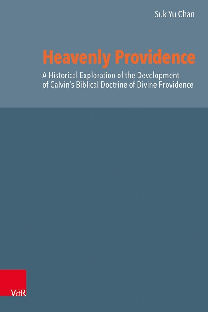 Heavenly Providence main product photo