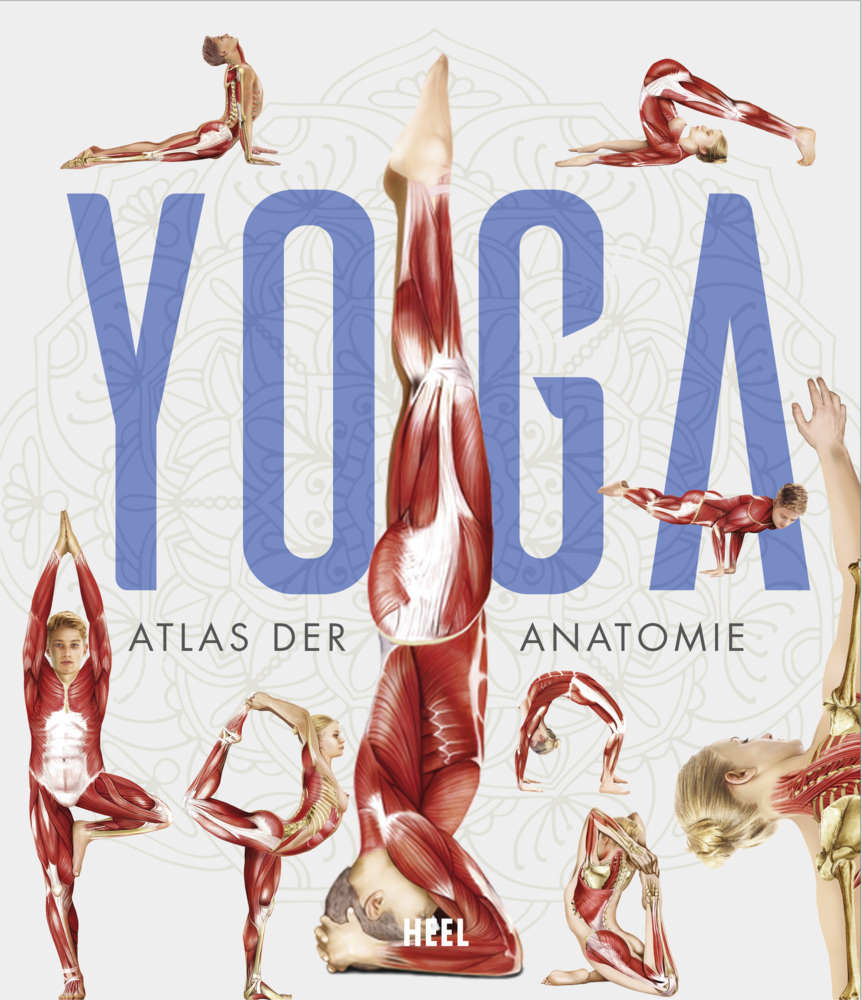 YOGA - Atlas der Anatomie main product photo