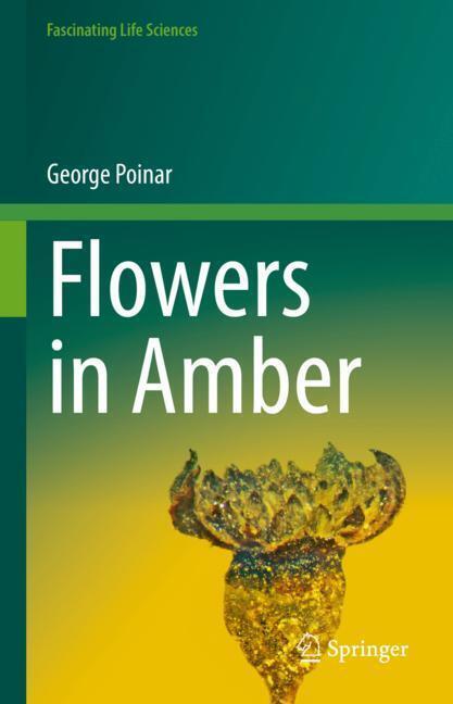 Flowers in Amber main product photo