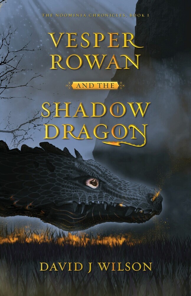 Vesper Rowan and the Shadow Dragon main product photo