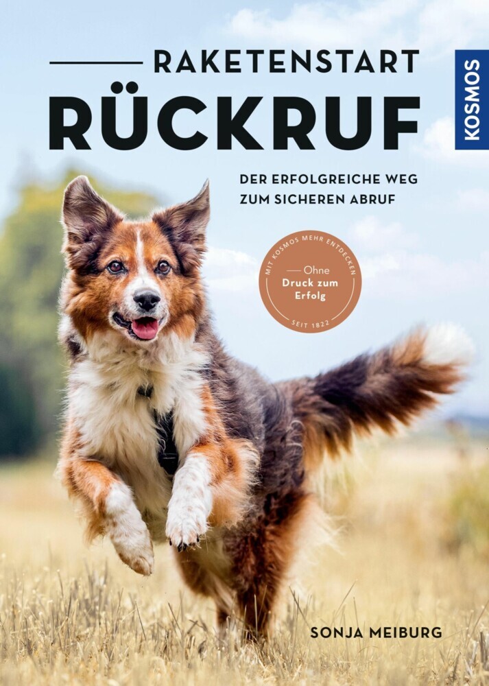 Raketenstart-Rückruf main product photo