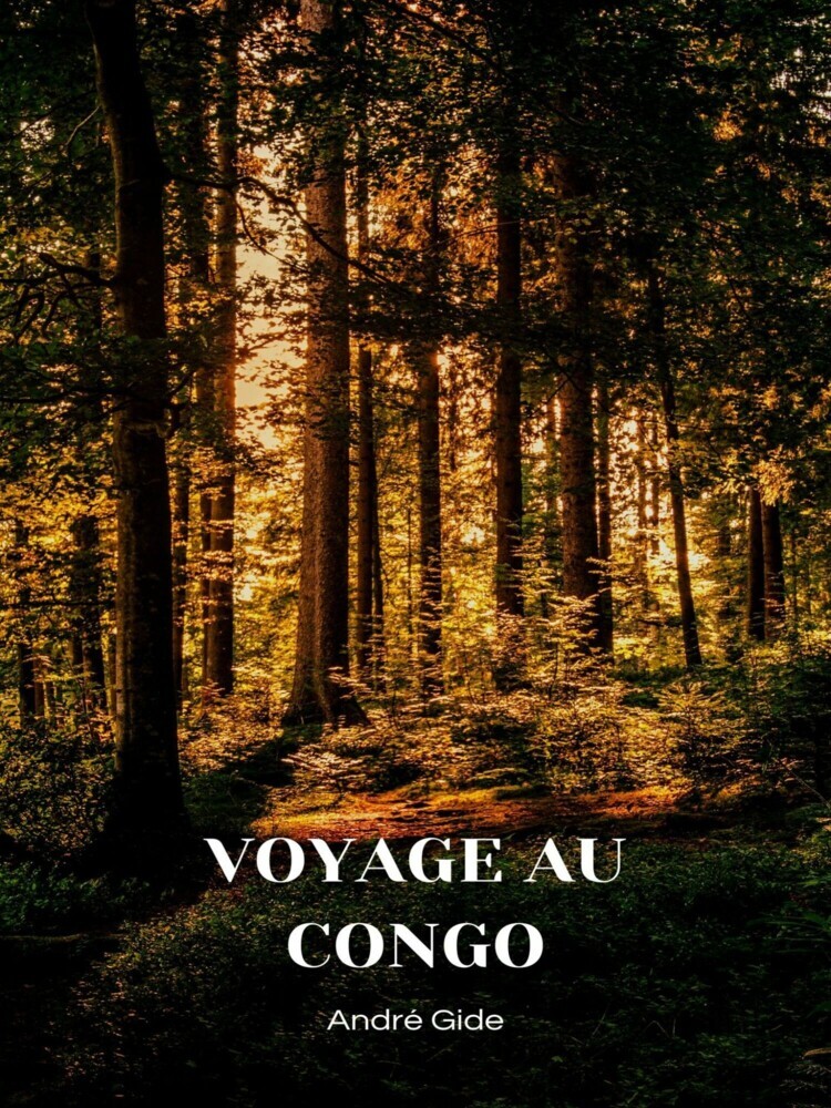 Voyage au Congo main product photo