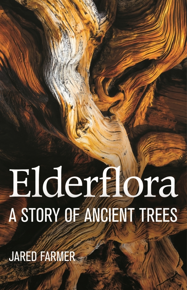 Elderflora main product photo