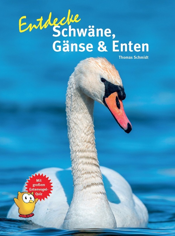 Entdecke Schwäne, Gänse & Enten main product photo