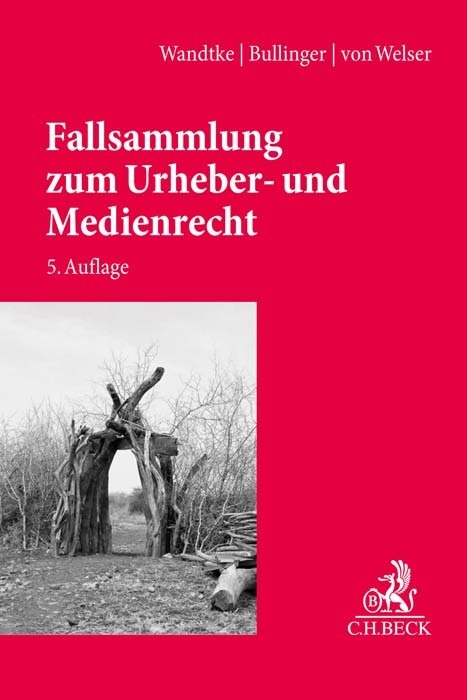 Fallsammlung zum Urheber- und Medienrecht main product photo
