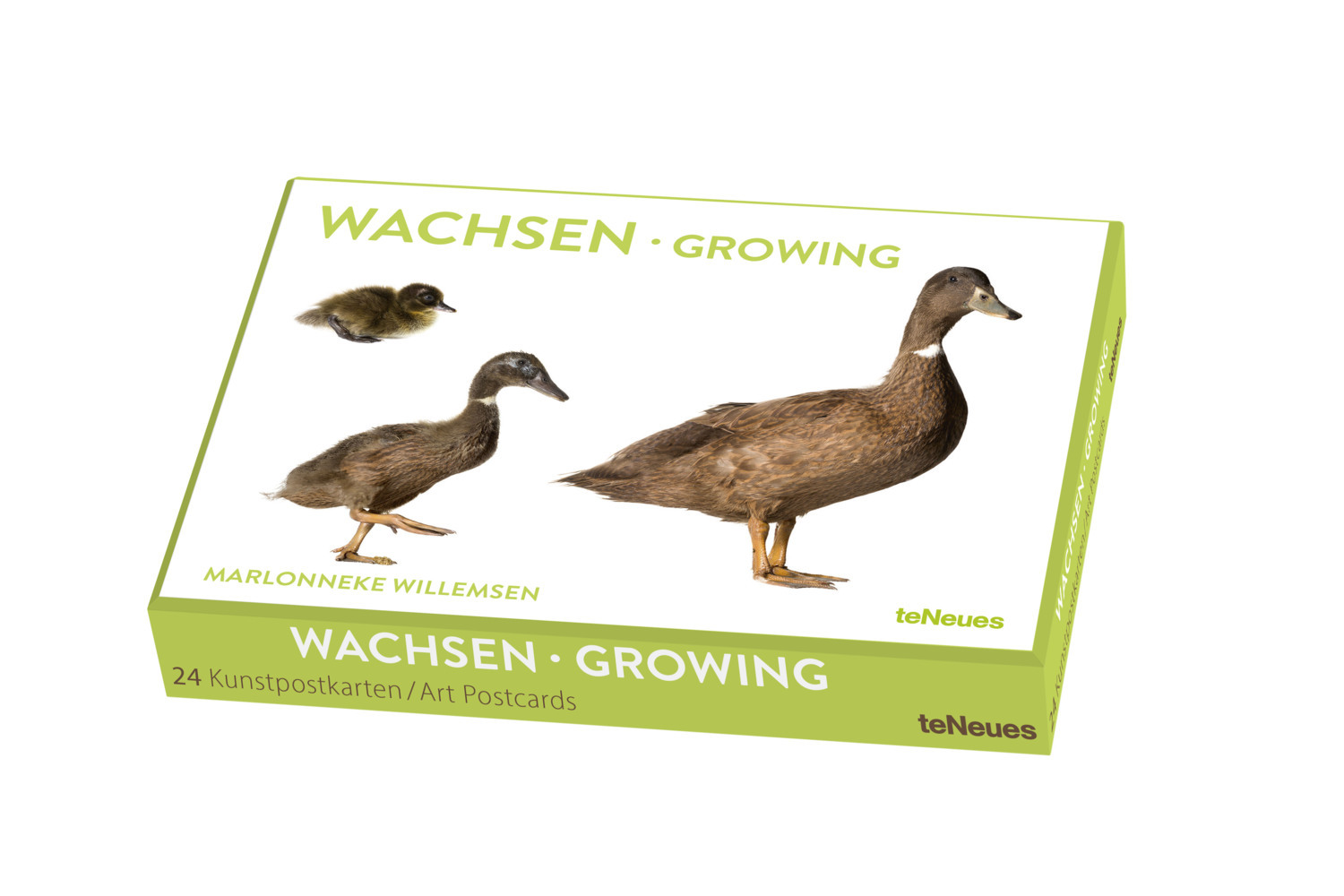 Wachsen, Kunstkartenbox main product photo