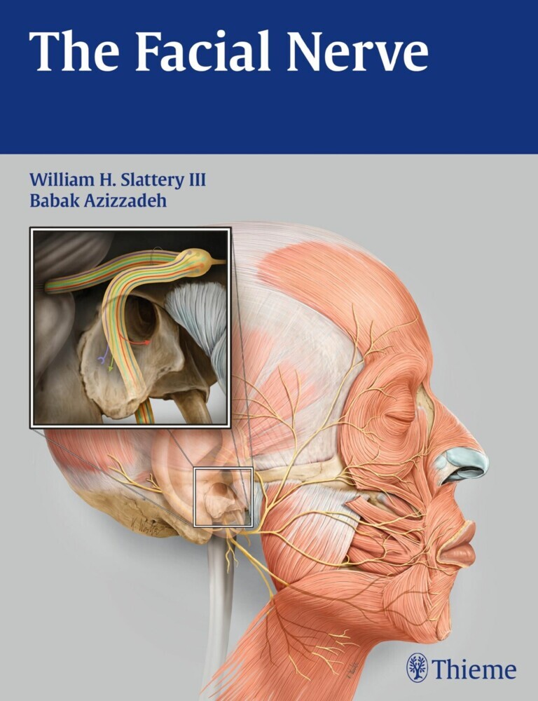 The Facial Nerve main product photo