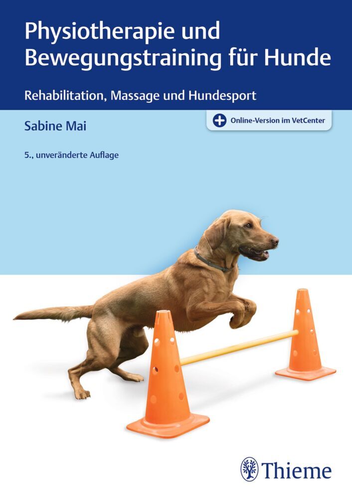Physiotherapie und Bewegungstraining für Hunde main product photo
