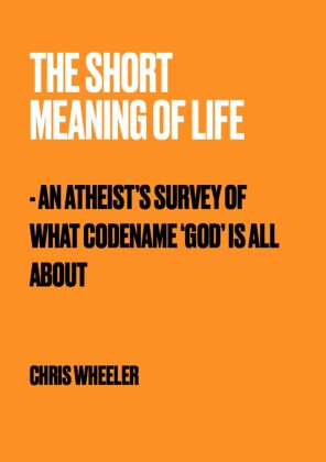 The Short Meaning of Life