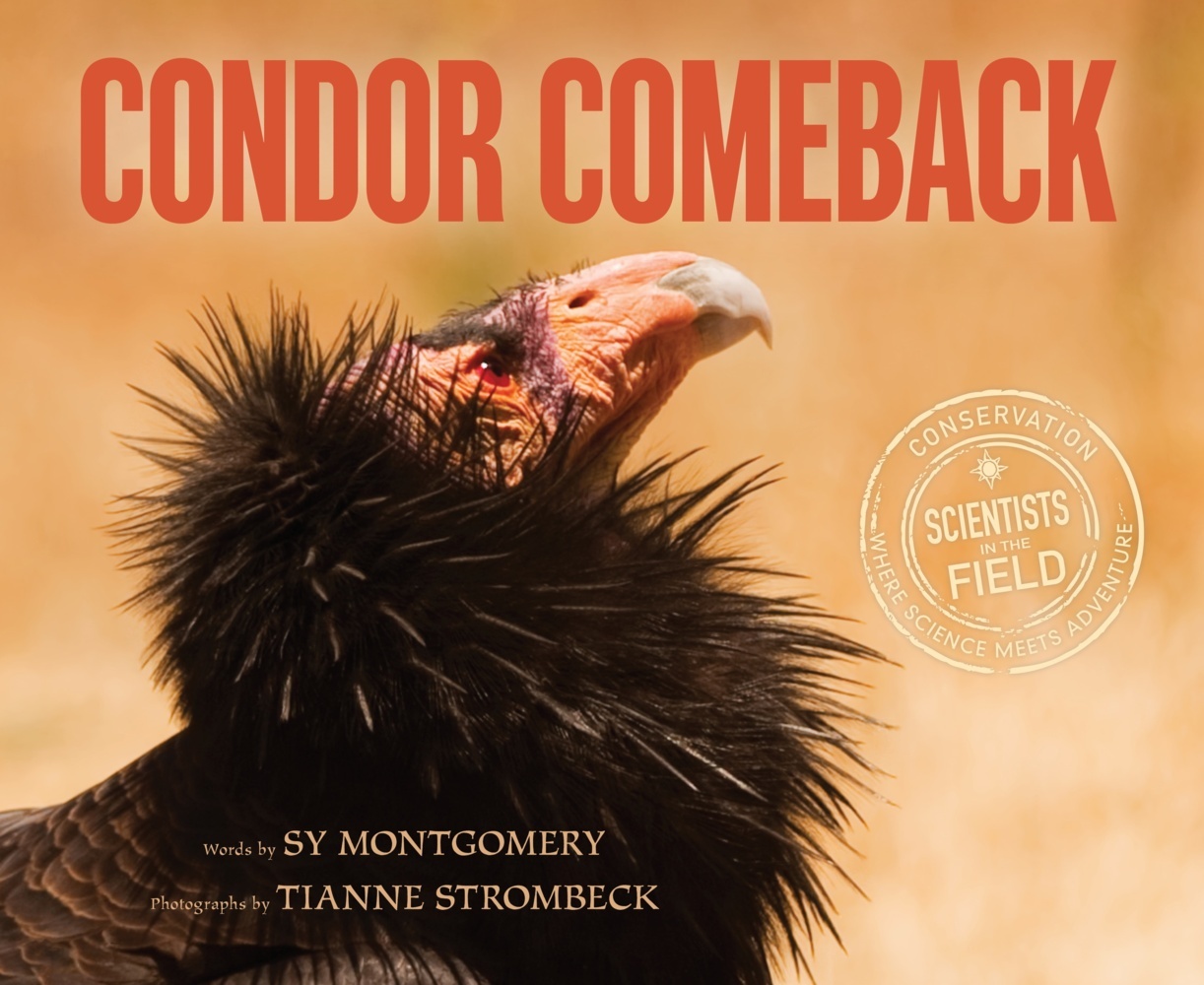 Condor Comeback main product photo