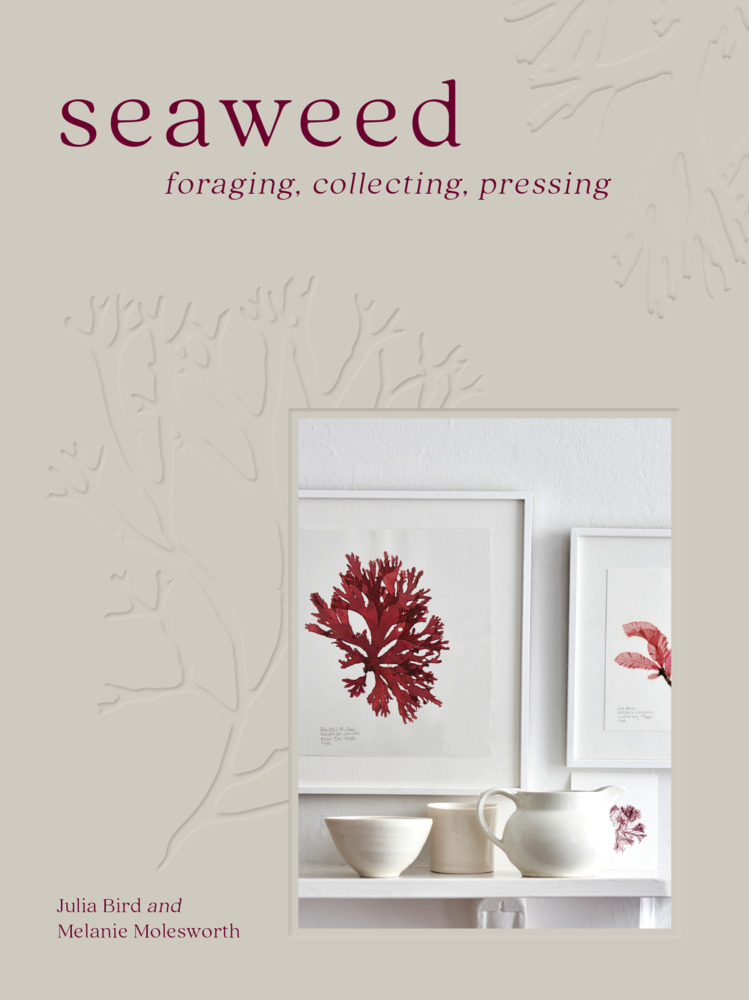 Seaweed main product photo