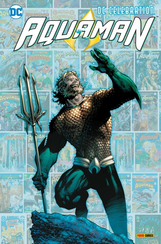 DC Celebration: Aquaman main product photo