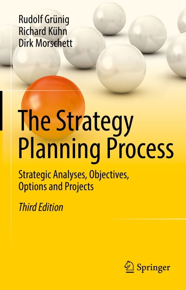 The Strategy Planning Process main product photo