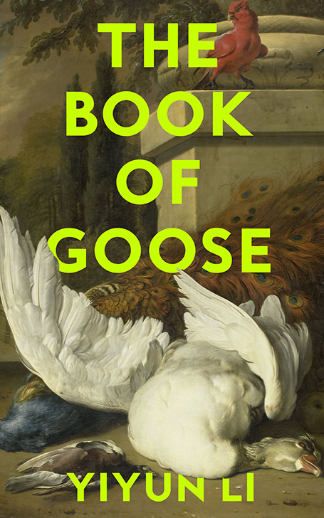 The Book of Goose main product photo