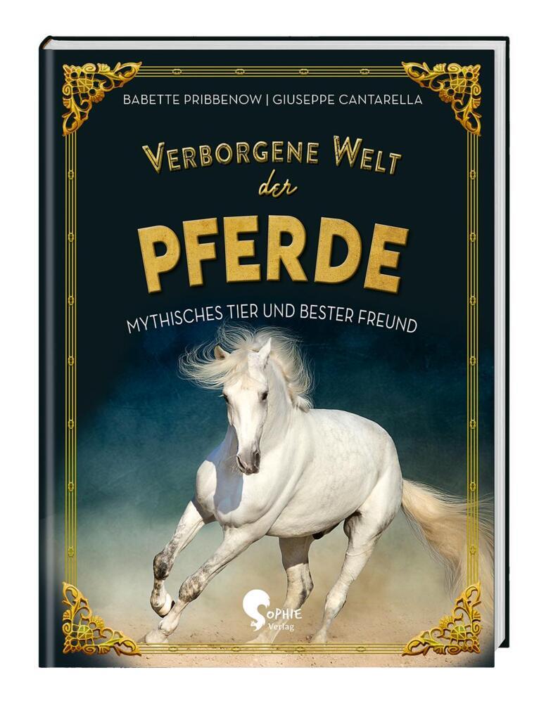 Verborgene Welt der Pferde main product photo