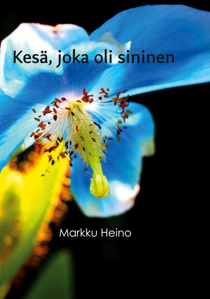 Kesä, joka oli sininen main product photo