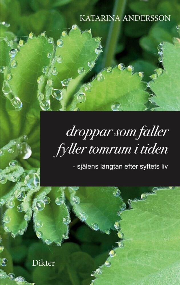 Droppar som faller fyller tomrum i tiden main product photo
