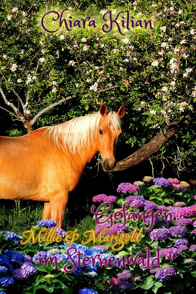 Gefangen im Sternenwald main product photo