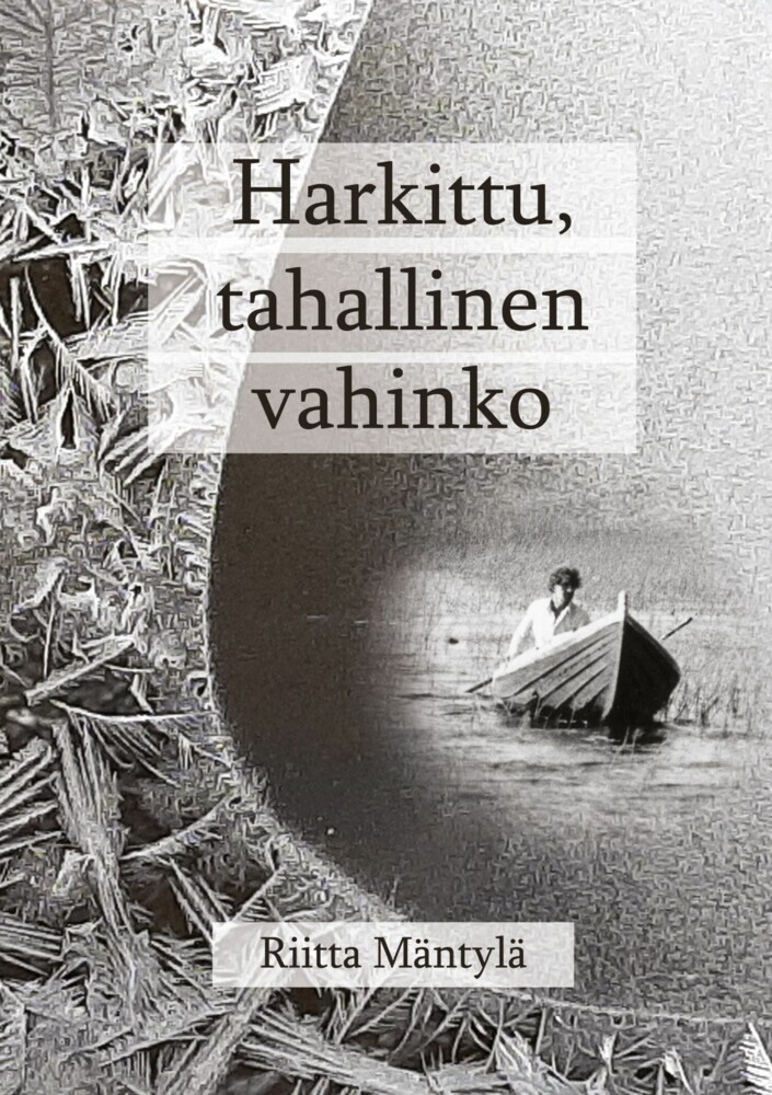 Harkittu tahallinen vahinko main product photo