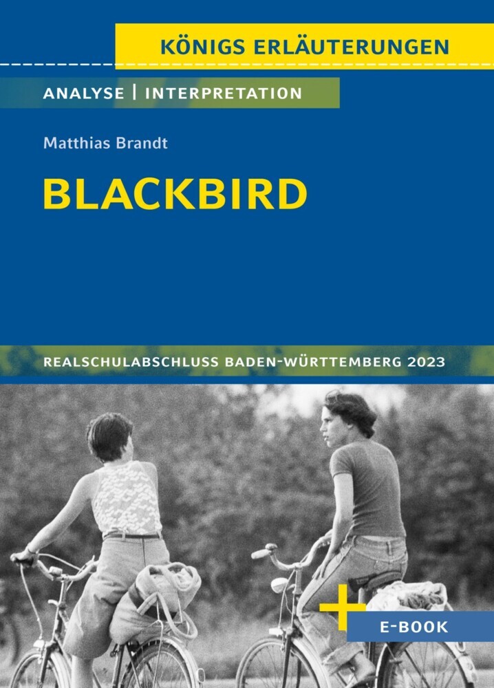 Blackbird von Matthias Brandt main product photo