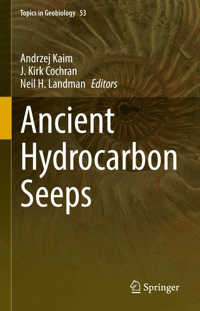 Ancient Hydrocarbon Seeps main product photo