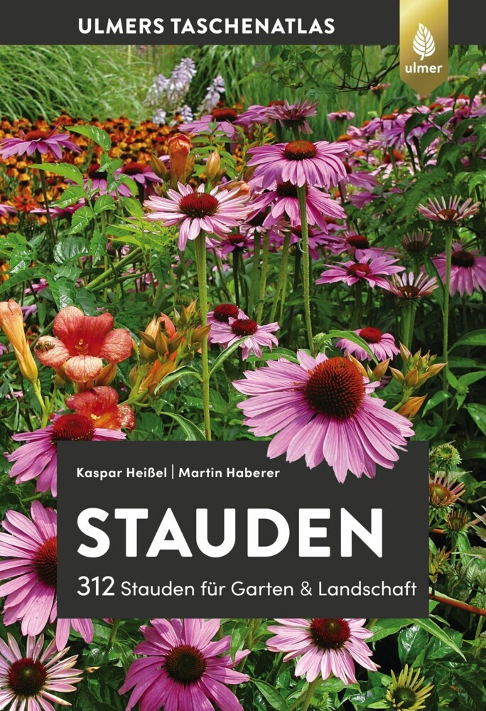 Stauden main product photo