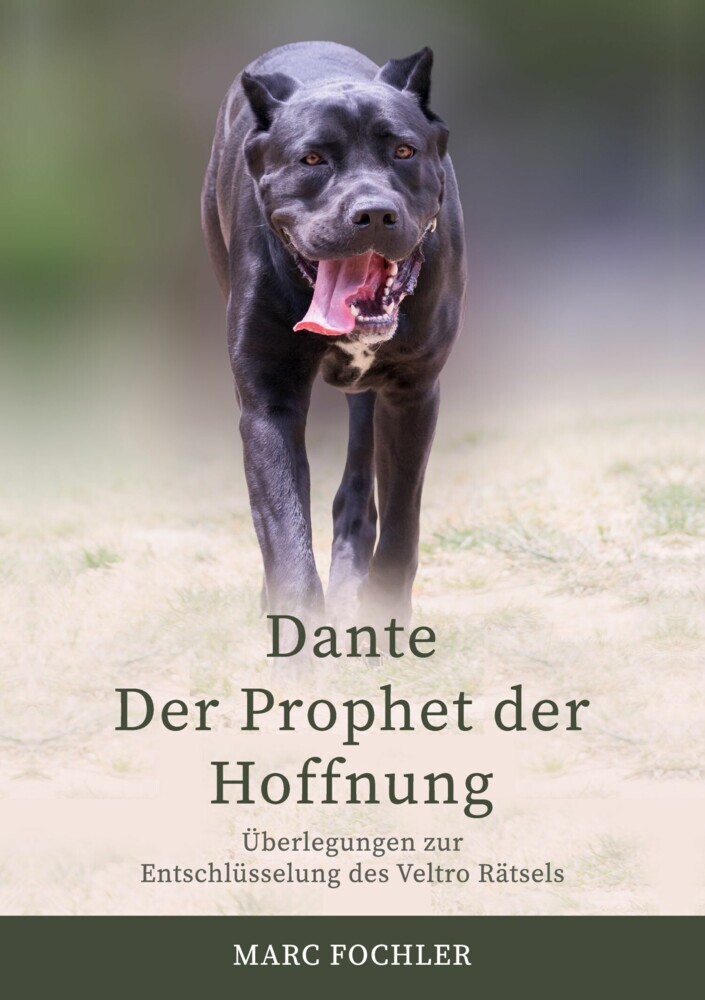 Dante - Der Prophet der Hoffnung main product photo
