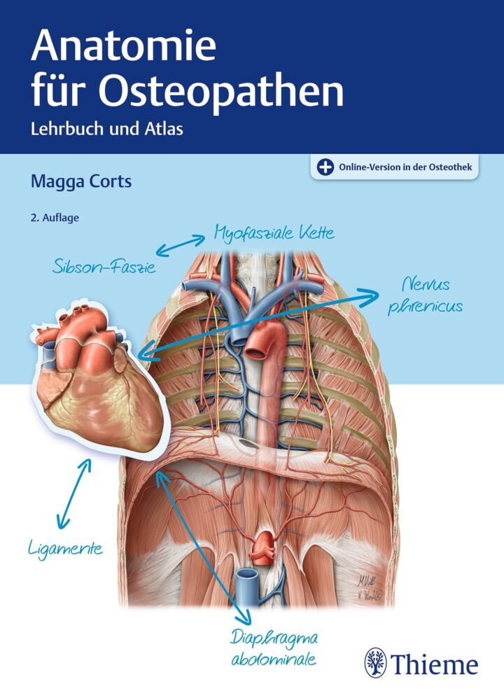 Anatomie für Osteopathen main product photo
