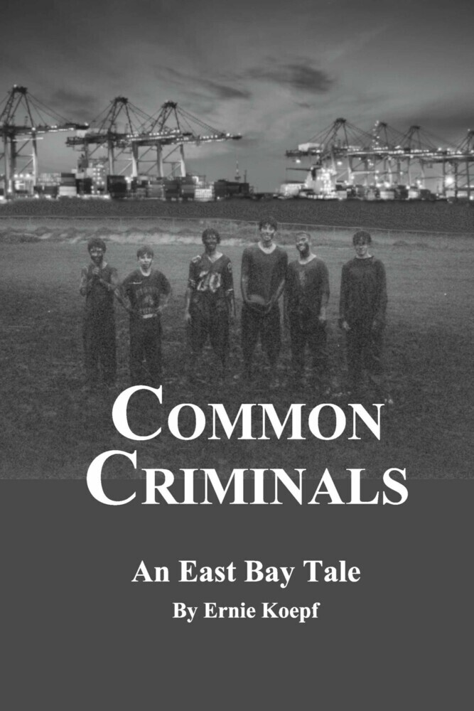 Common Criminals main product photo